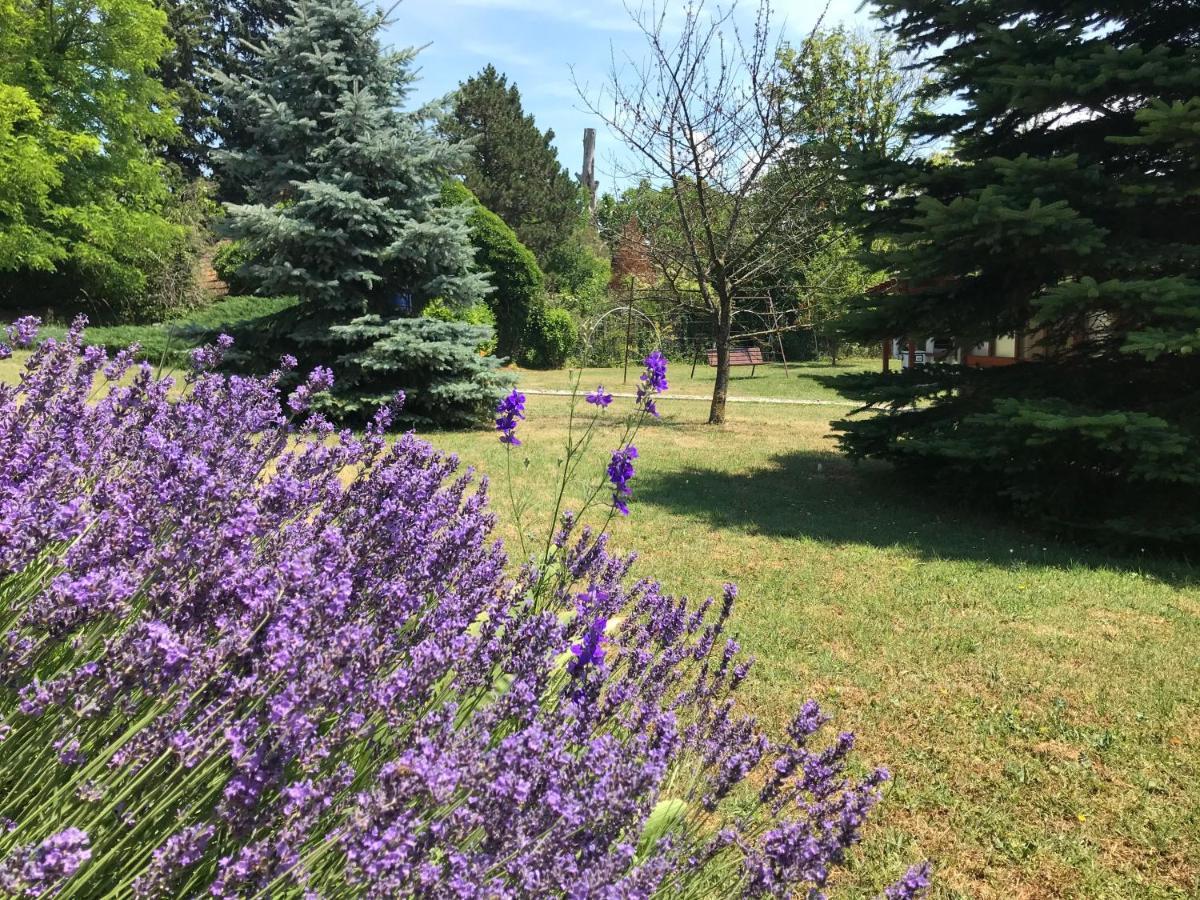 شقة Balaton Garden Balatongyörök المظهر الخارجي الصورة